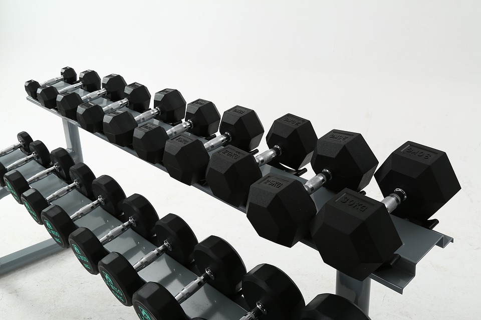 Dumbbell kopen? Muscle Power