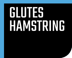 Glutes/Hamstrings Glutes/Hamstrings