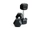 Hexa Dumbbells per Stuk MPHEX300