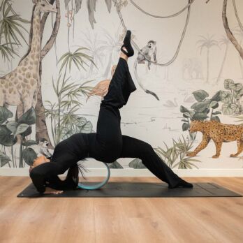 Yoga Wheel
